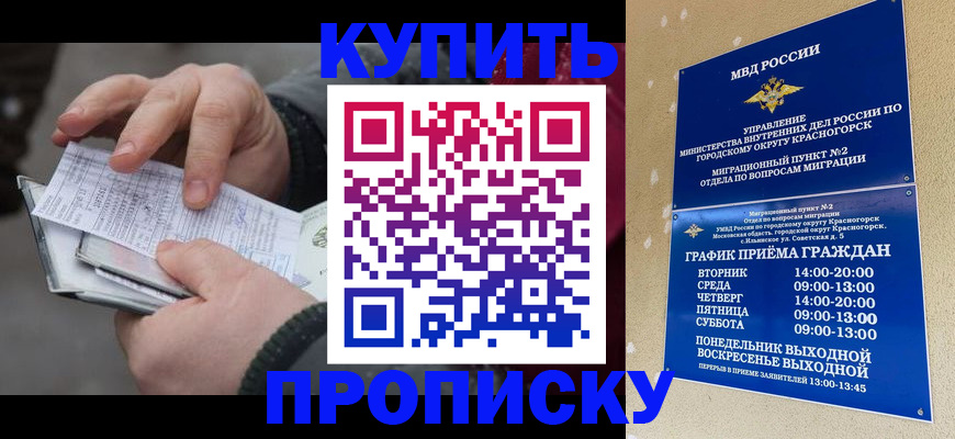 временная регистрация недорого в Чечне